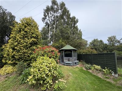 Picture 28